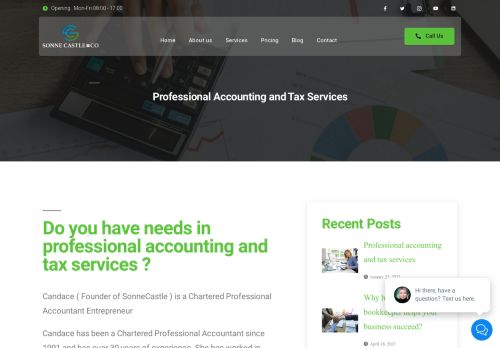 professional accounting and tax services